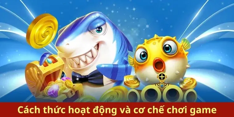 Cách Chơi Bắn Cá Royal Fishing Tại Xoso66 Dễ Hiểu Chi Tiết 2 Cách Chơi Bắn Cá Royal Fishing Tại Xoso66 Dễ Hiểu Chi Tiết