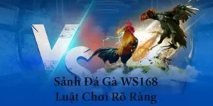 Cách Chơi Đá Gà WS168 Tại Xoso66 Với Luật Chơi Chi Tiết 1 Cách Chơi Đá Gà WS168 Tại Xoso66 Với Luật Chơi Chi Tiết