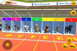 Cách Chơi Game Nhanh Đua Chó Hấp Dẫn Tại Xoso66 5 Cách Chơi Game Nhanh Đua Chó Hấp Dẫn Tại Xoso66